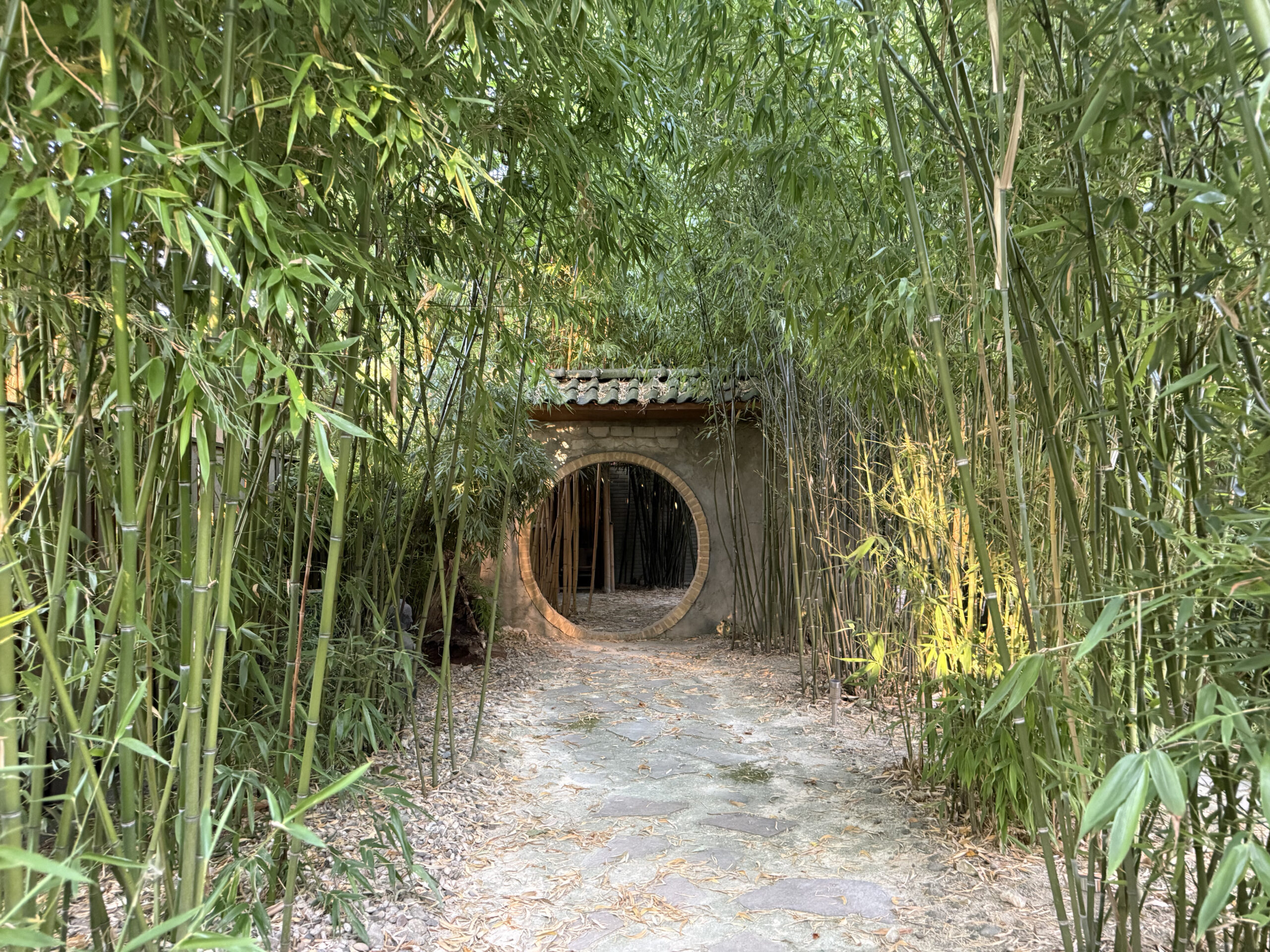 Bamboo garden entrance